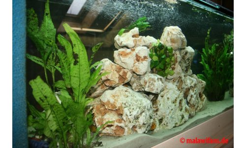 Aquarien